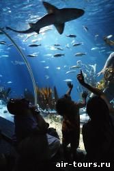 Морской аквариум Sea-Life 