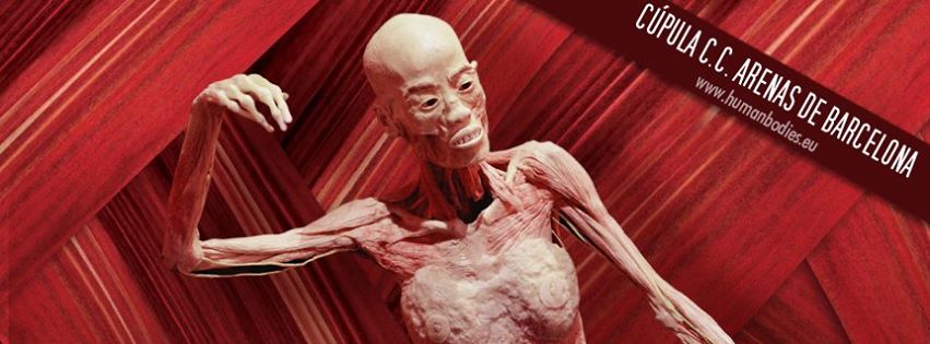 Human Bodies выставка в барселоне