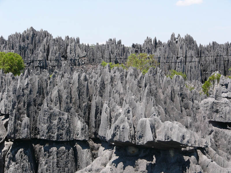 Каменный лес Цинги-де-Бемараха, Мадагаскар 